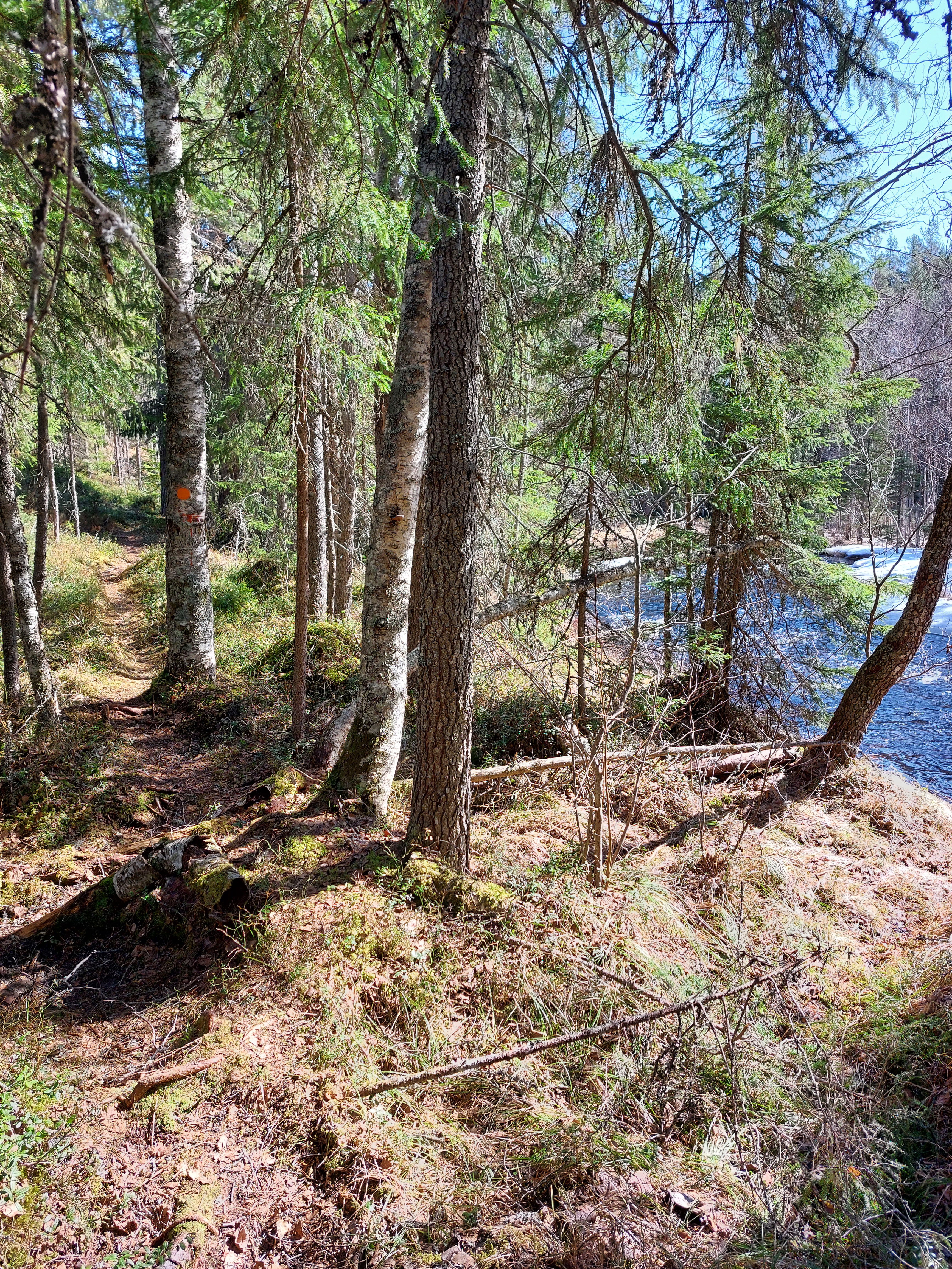 Sångån vandringsled