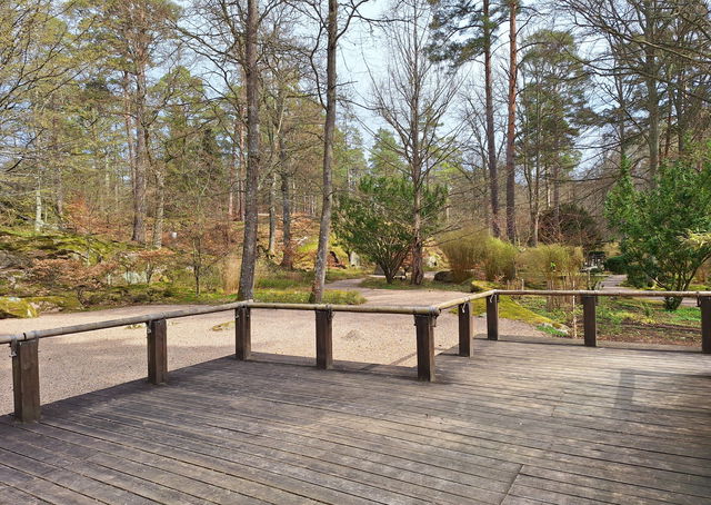 Möt våren med yoga och skogsbad i japanska trädgården- ÄlskaVår