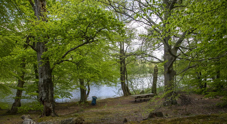 Rastplats vid Borgasjön.