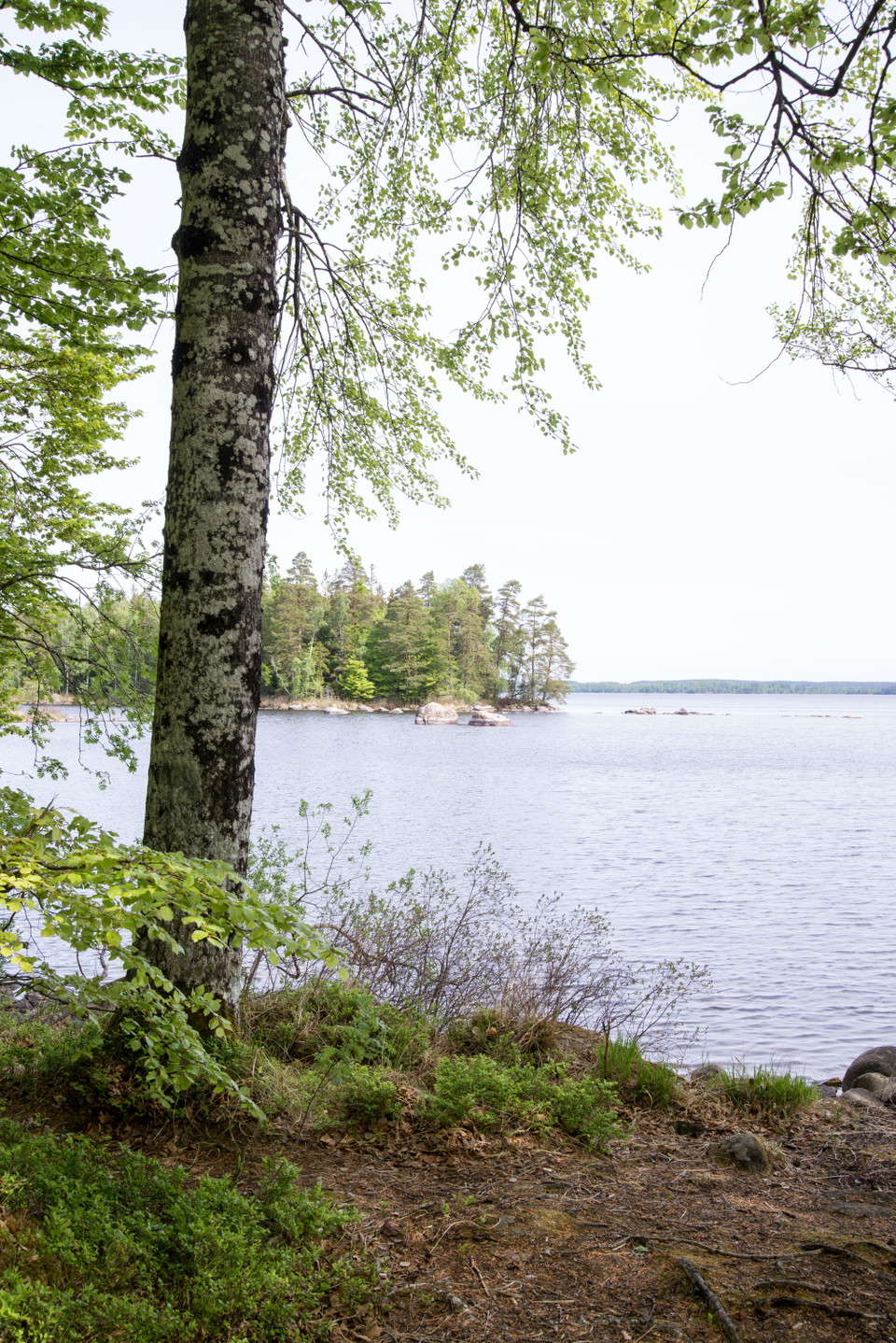Fotograf: Tobias Ivarsson