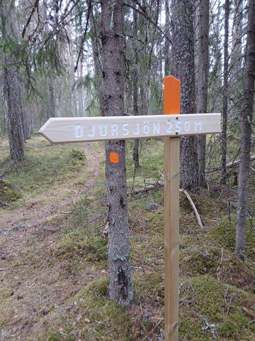 Vintervägen