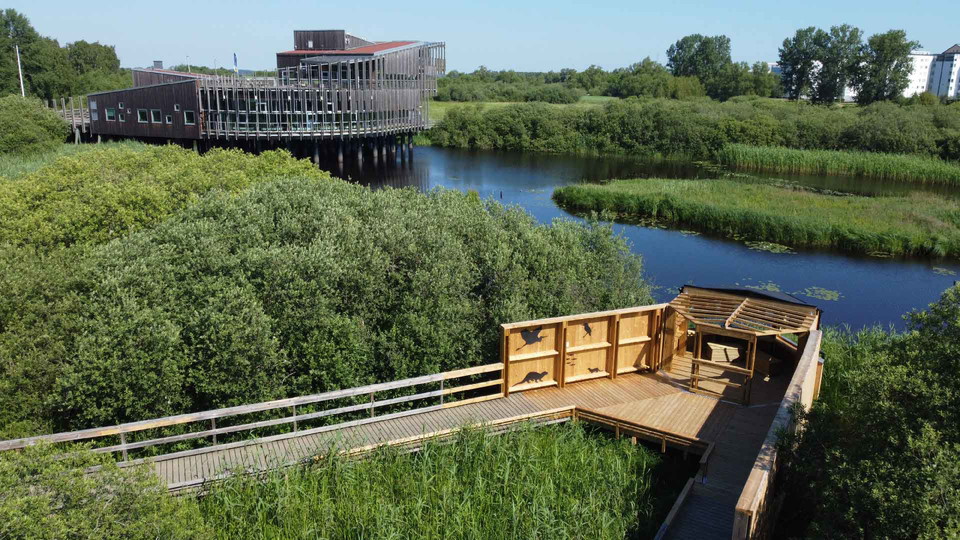 Drönarbild med spång och fågelgämsle i förgrunden. I bakgrunden syns naturum Vattenriket.