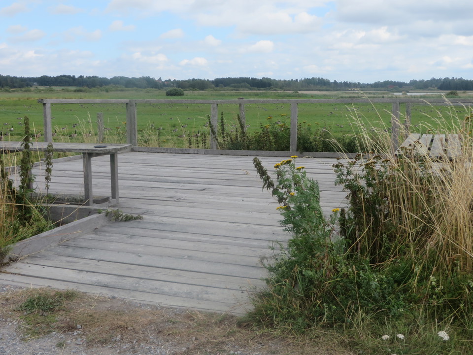 Längs leden finns skådarplattformar som nås med rullstol