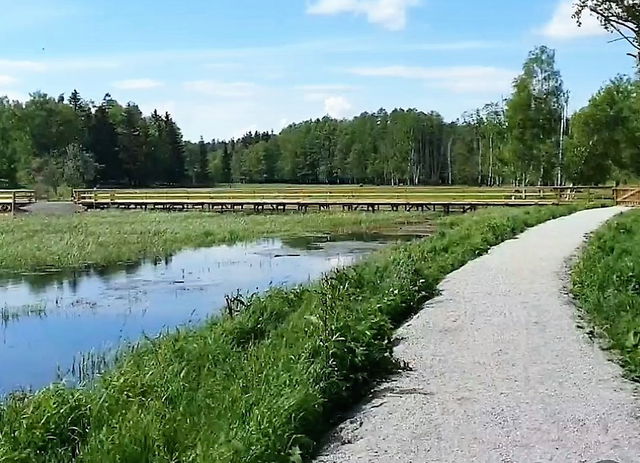 Promenadstråk runt Sanda våtmark