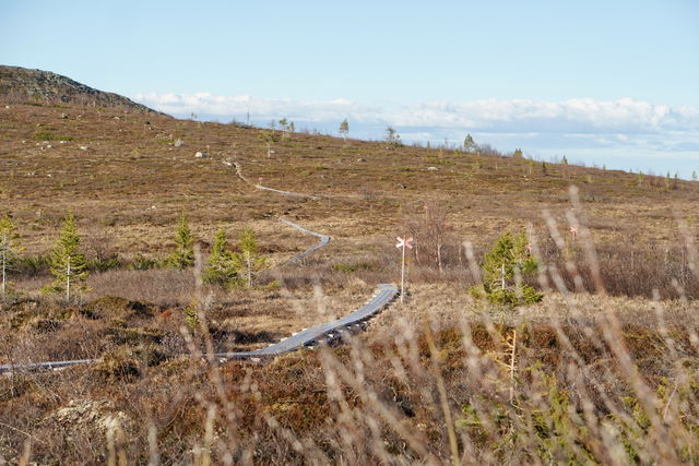 Topparna Runt