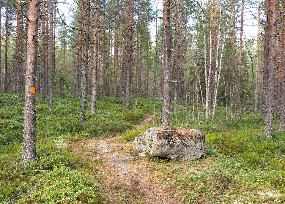 Vilstenen