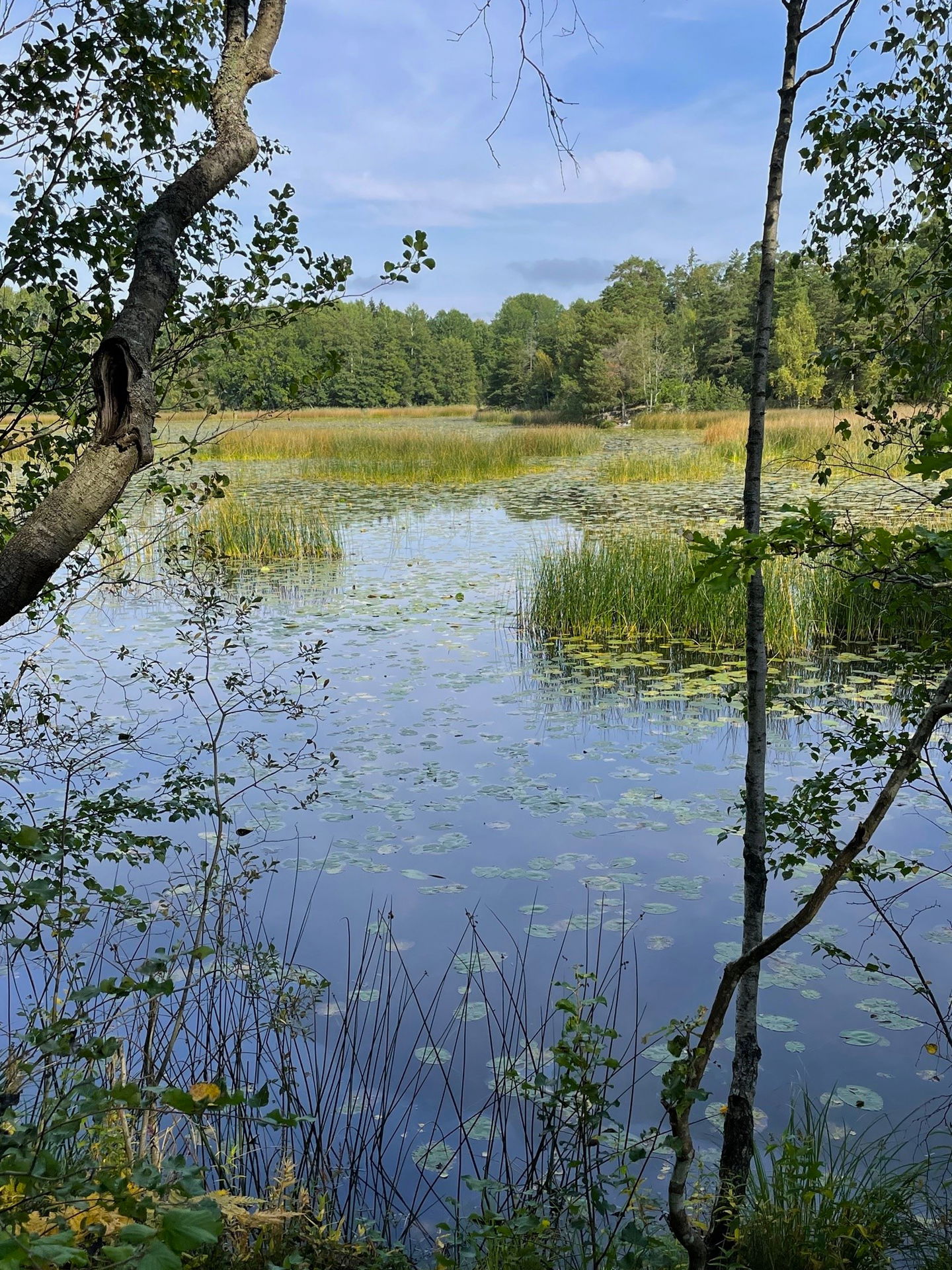 Dammtorpssjön