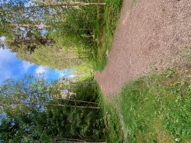 Eljusspår med flis som underlag