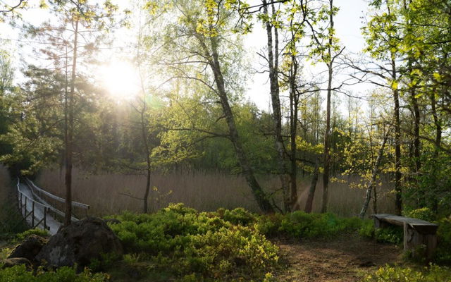 Outdoorness