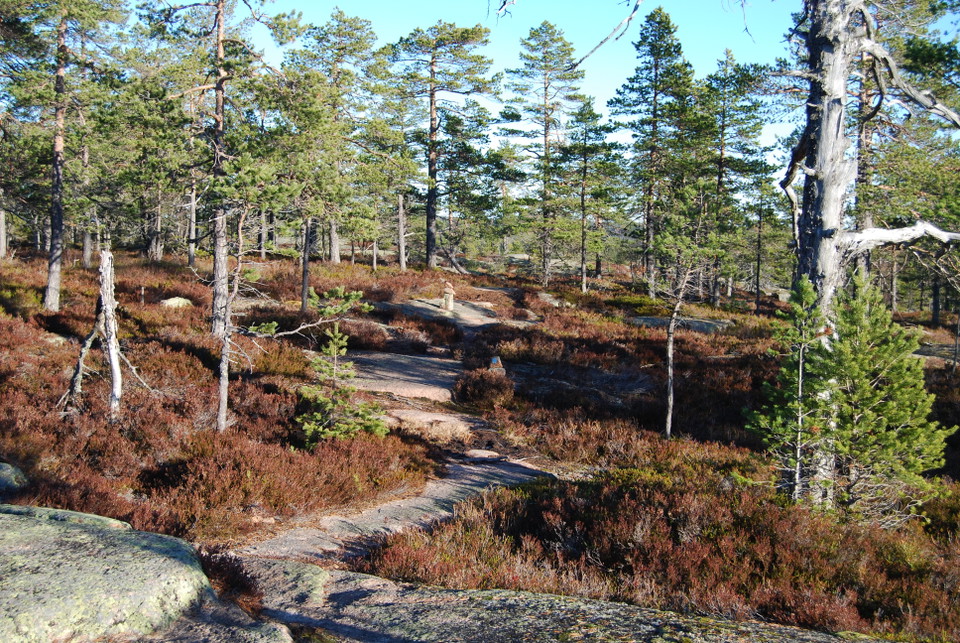Stigen upp på Långtjärnshällorna. Foto: Anders Östman, Länsstyrelsen