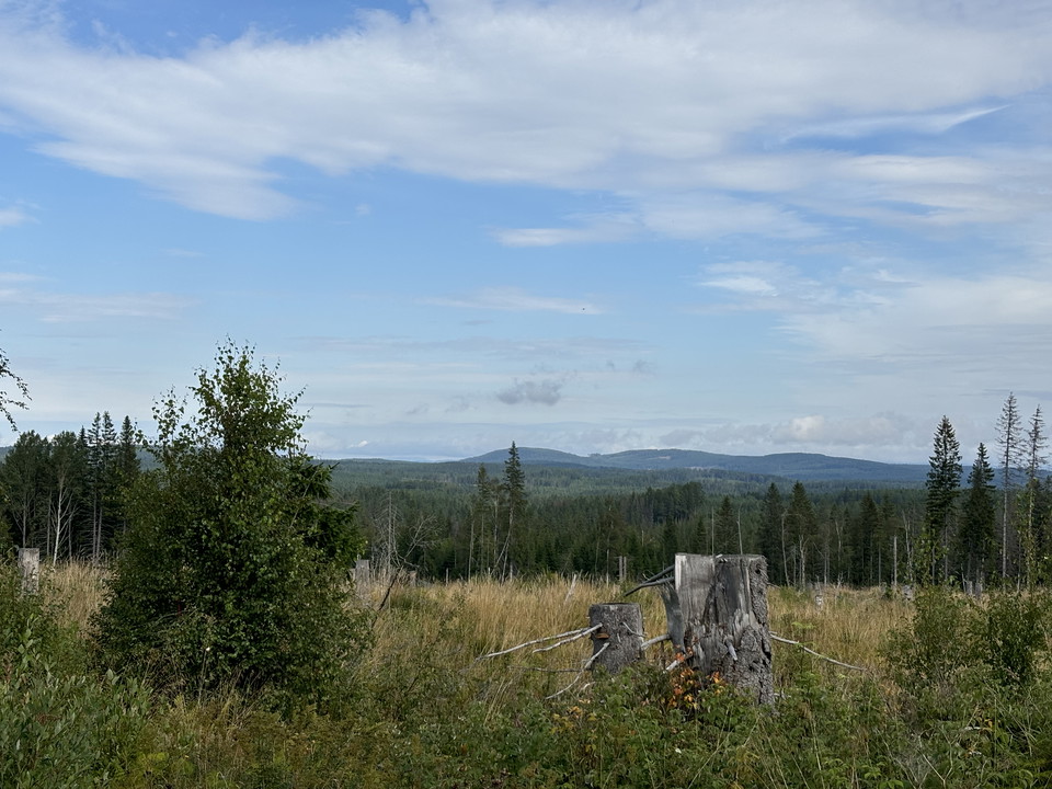 Vy från Nedre Sporrberg