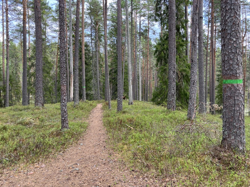 Rundslinga runt dödisgropar.