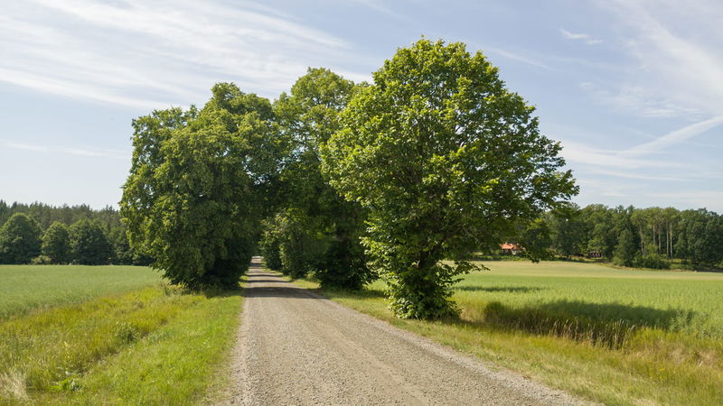 Lofthammars cykelrunda