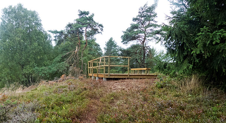 Utsiktstorn vid mossen.