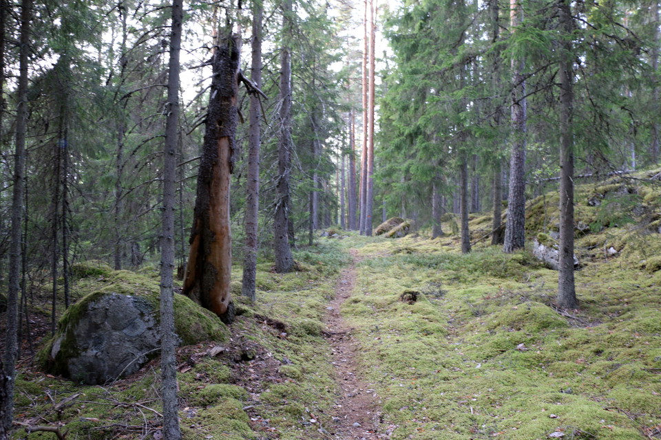 Stig längs den orangemarkerade leden.