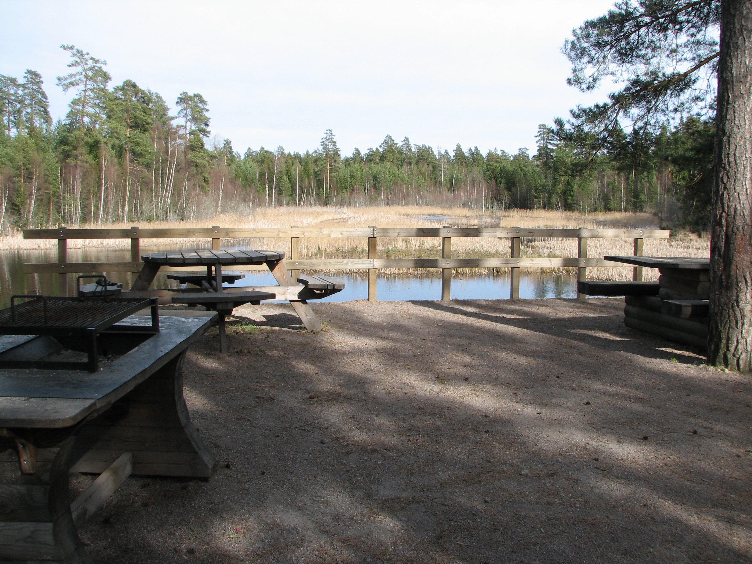 Grillbord med vattenspegel och skog i bakgrunden. Tidig vårbild
