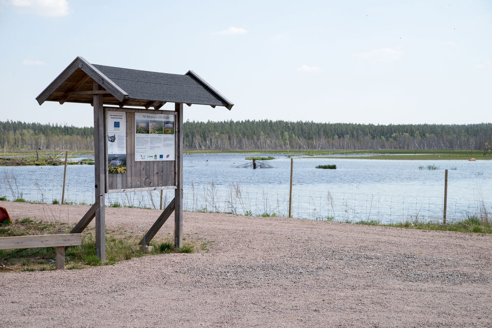 Fotograf: Tobias Ivarsson