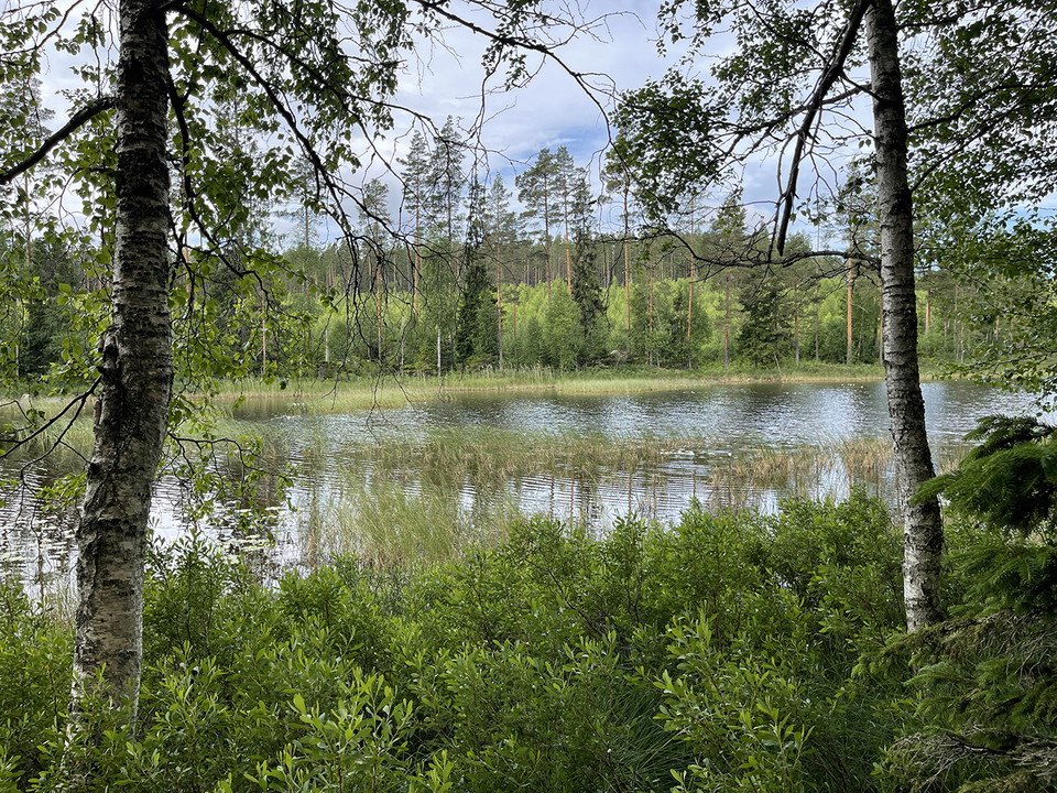 Glänta mot en tjärn.