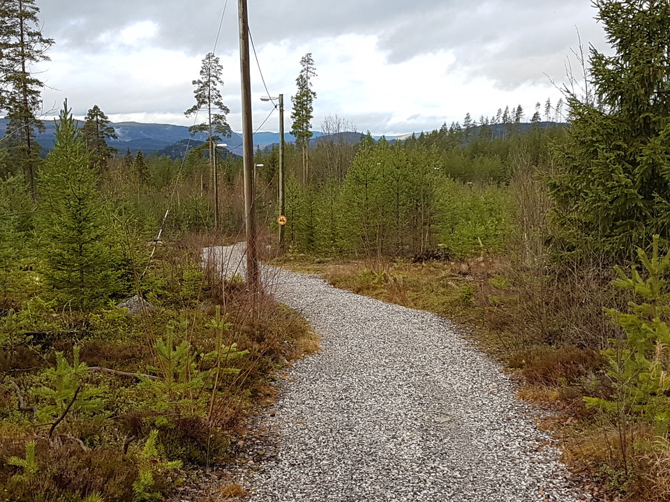 Spåret i barmark