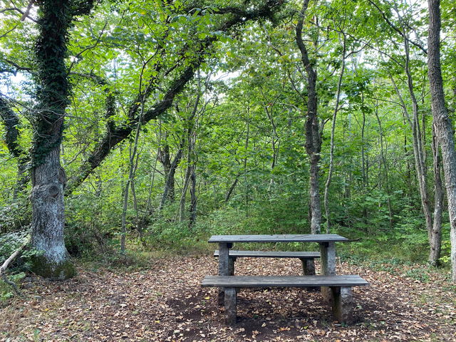 Bord, Halltorp