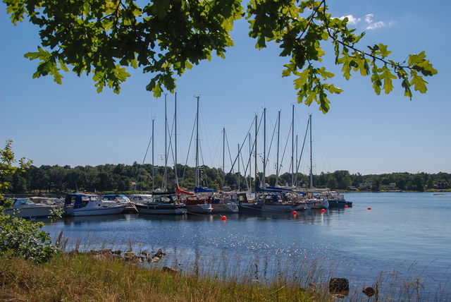 Naturhamn Tärnö nordost