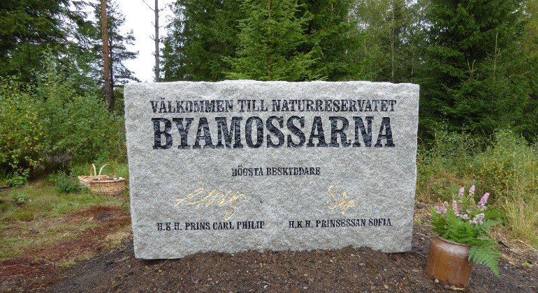 Minnessten med texten "Välkommen till naturreservatet Byamossarna. Högsta beskyddare H.K.H Prins Carl Philip och H.K.H. Prinsessan Sofia". Prinsparets namnteckningar finns med på stenen.