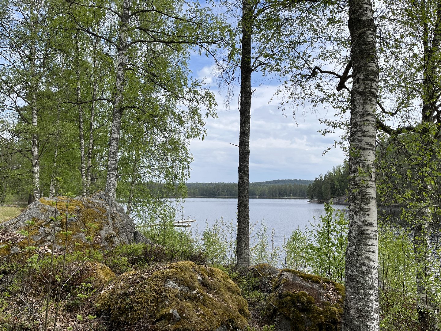 Vy över Dammsjön, Björsjö