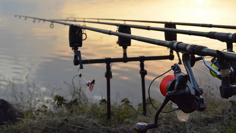 Sportfiskekortet, Dammtorpssjön