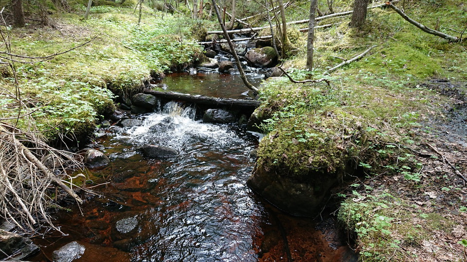 Naturstigen Åmot.
