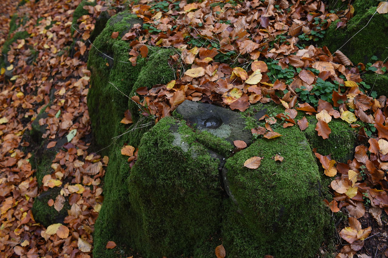 Jällabjär vulkanberg Klippan