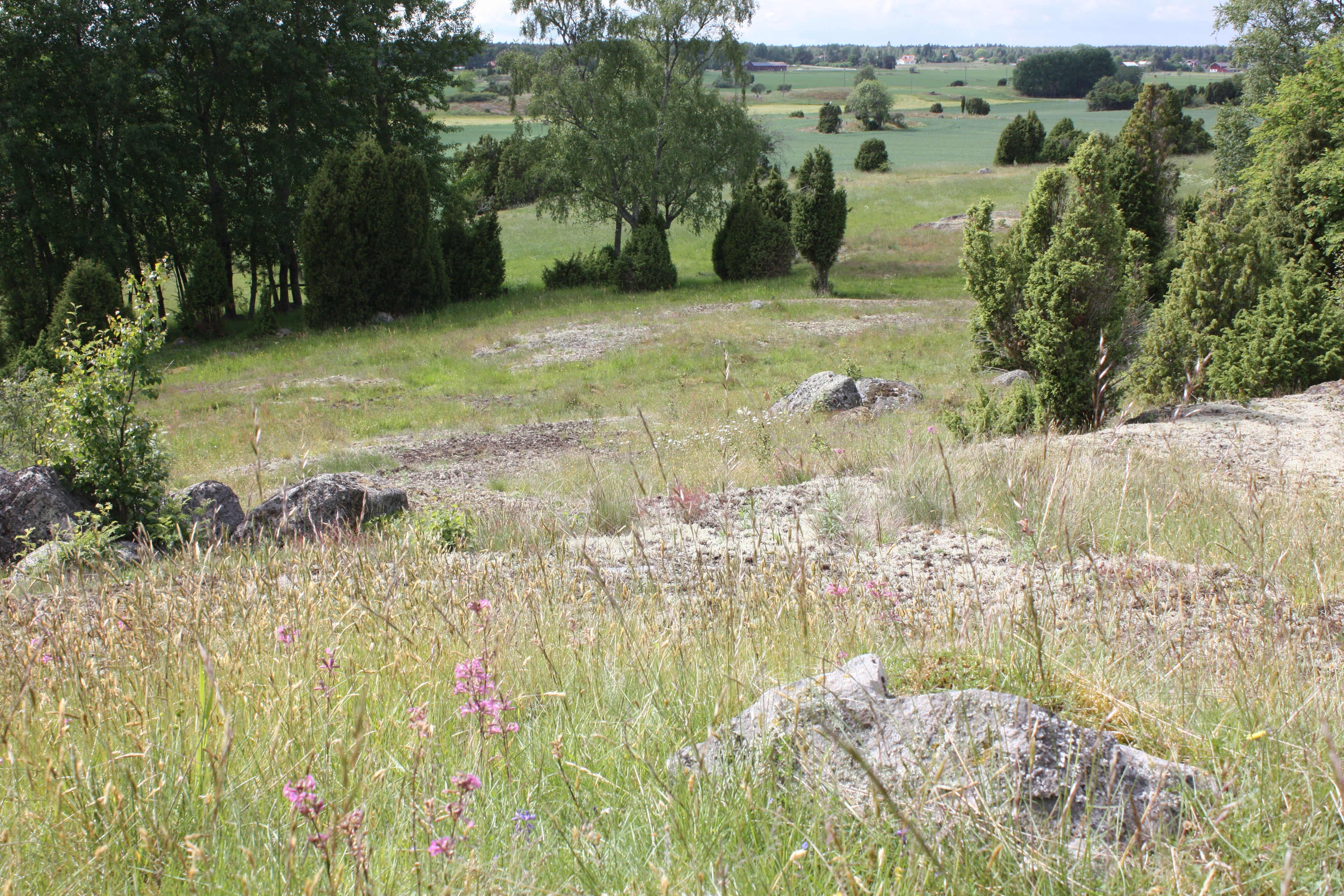 Berghällar och hagmark i Hemsta naturreservat.