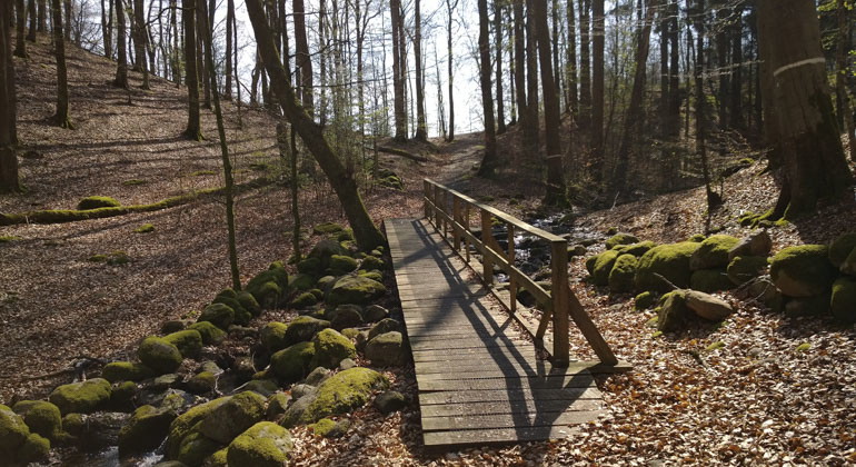 en bro över de vatten som rinner i reservatet