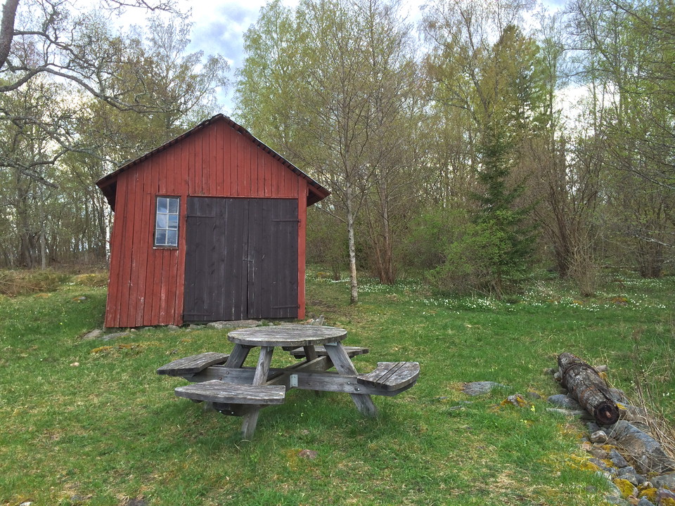 Ett bänkbord står på en ojämn gräsyta omringad av träd. Bakom bänkbordet står en bod.