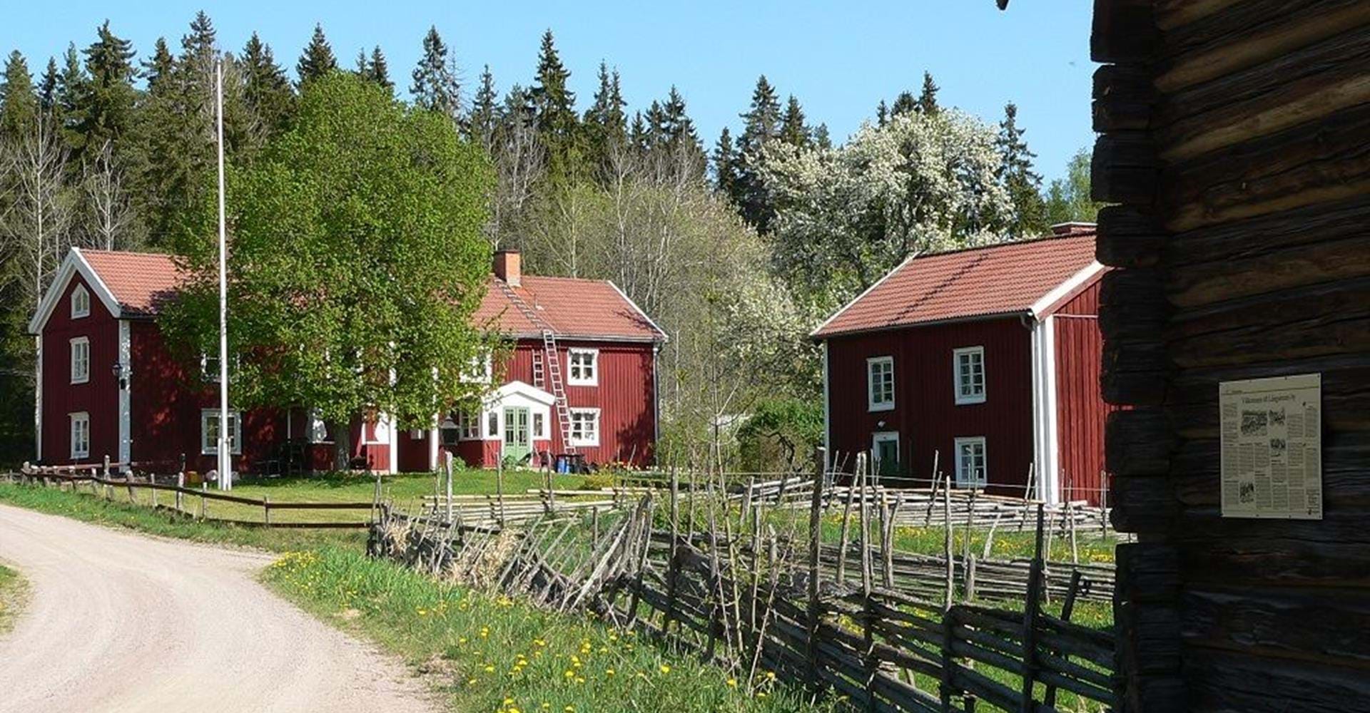 Långserum