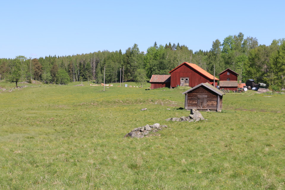 En öppen betesmark. I bakgrunden syns några röda byggnader.