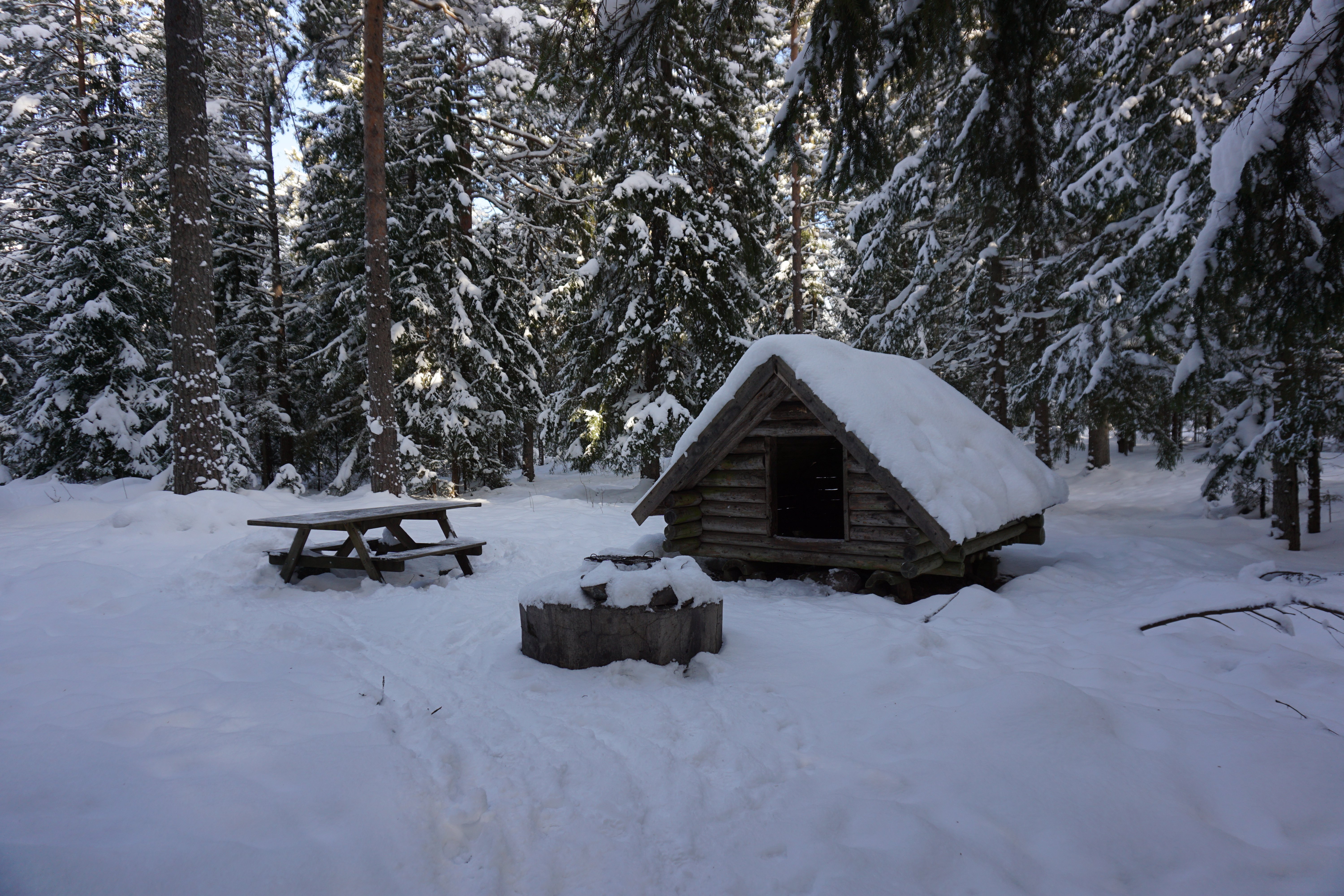 Snötäckt Vindskydd, bänkbord och grillplats vid rastplatsen i Mulleskogen