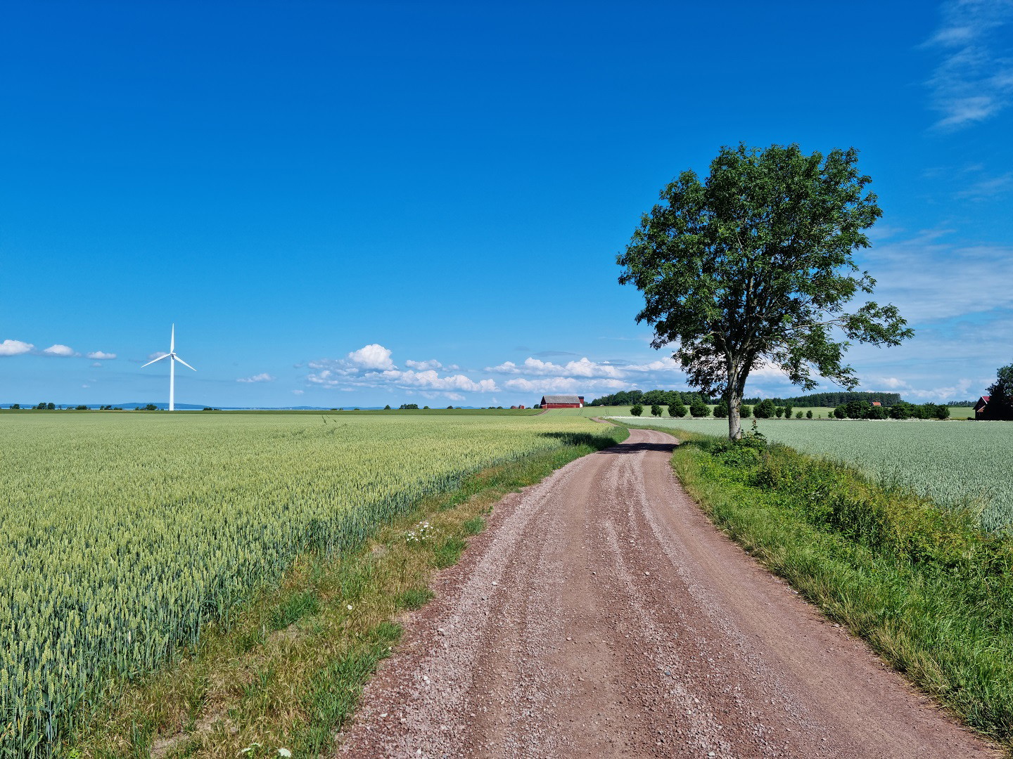 Vandra längs vackra grusvägar.