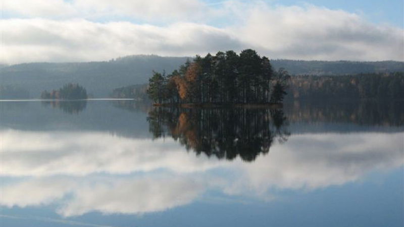 Fishing in Svanskog FVO