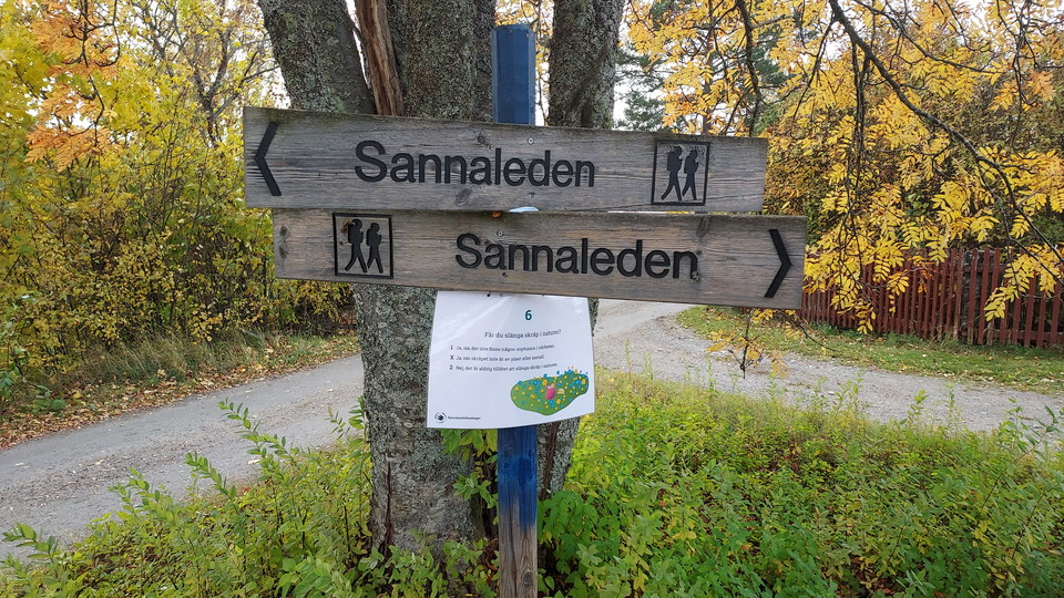 Sannaleden