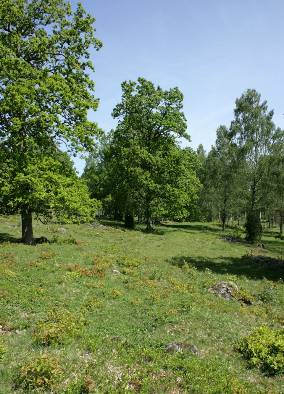 Fotograf: Eva Elfgren