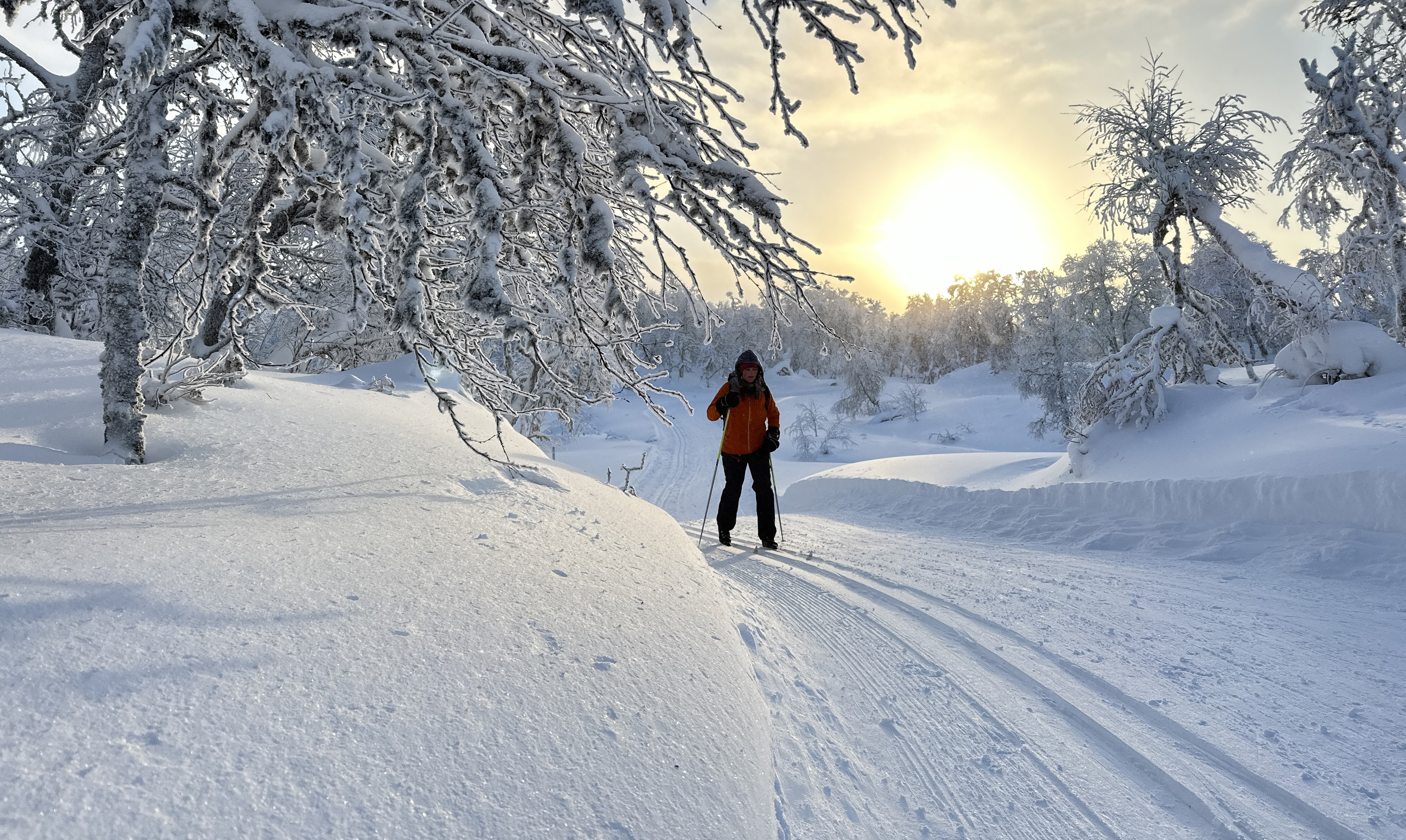 Spåravgifter på gott och ont - detta gäller