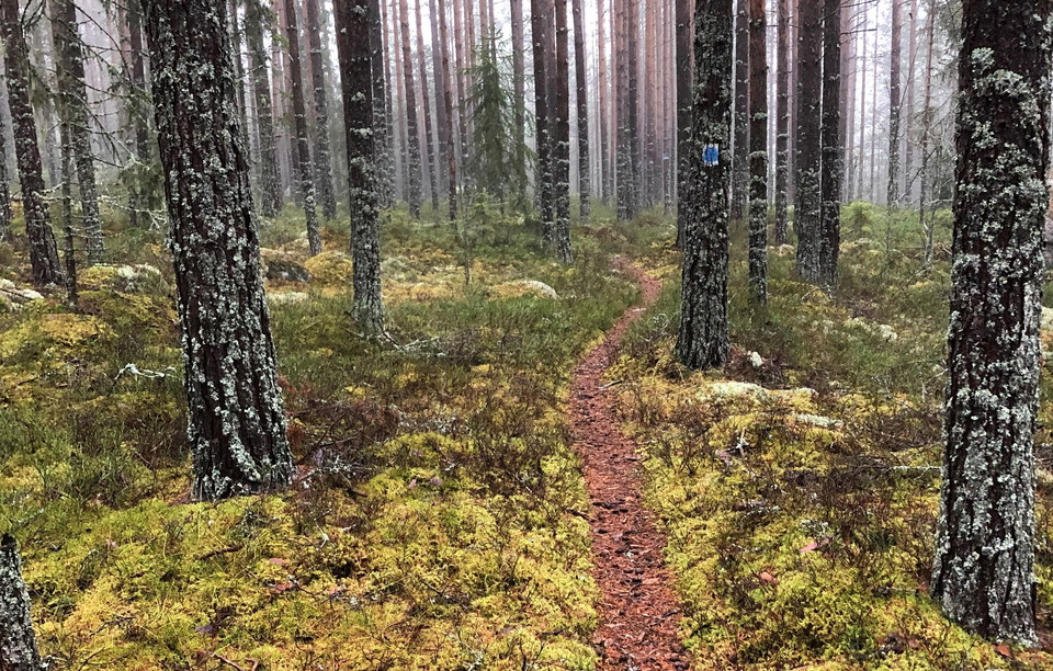 Gammal blå ledfärg är sedan 2020 bytt till orange.