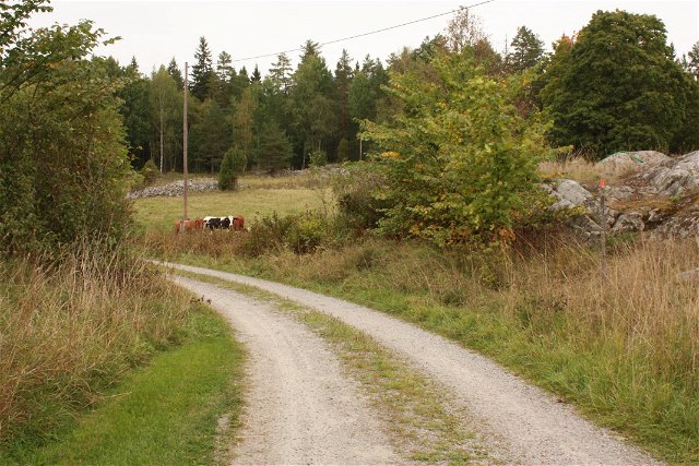 The Uppland Trail, section 13, 16,5 km
