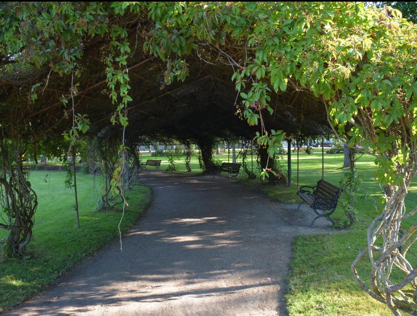 Pergolagång i Stadsparken