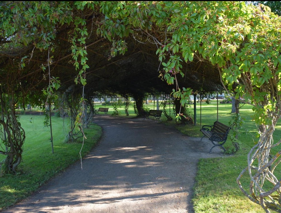 Pergolagång i Stadsparken