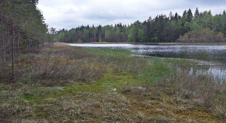 Foto: Per Folkesson