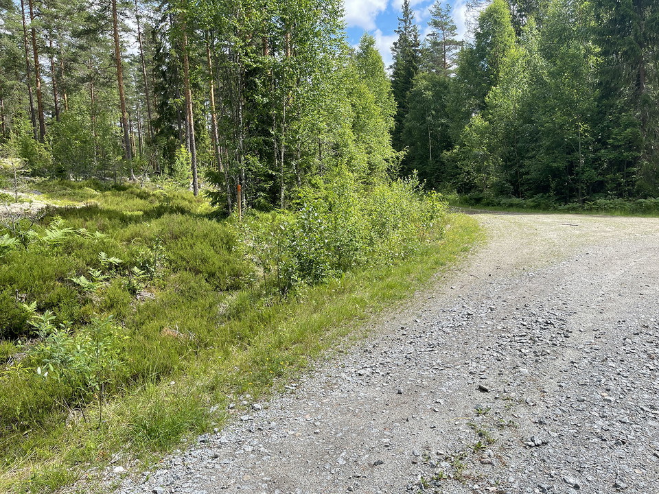 Grusväg, i diket står en stolpe med orangemålad topp.