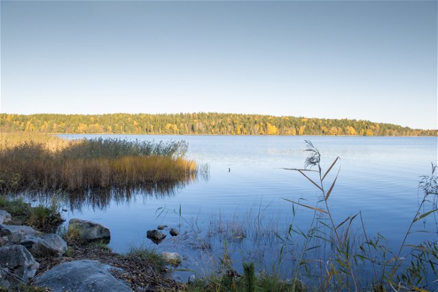 Strandstigen i Farstanäs naturreservat