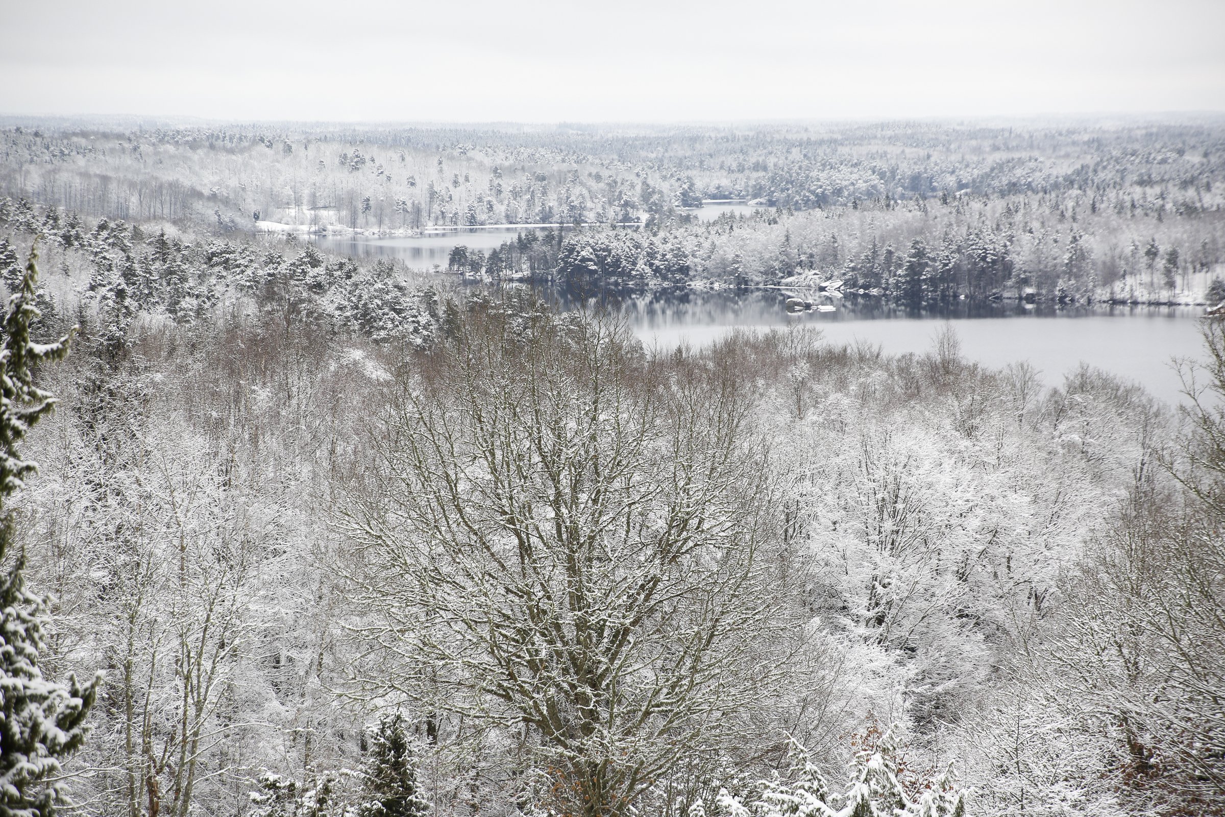 Mäktig utsikt i Pieboda naturreservat i Olofström. 