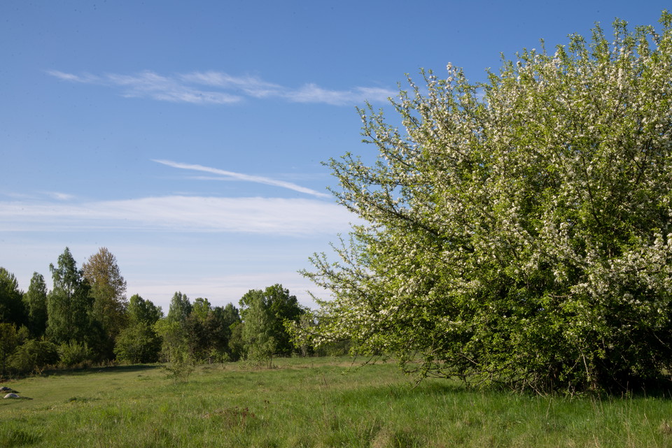 Fotograf: Tobias Ivarsson